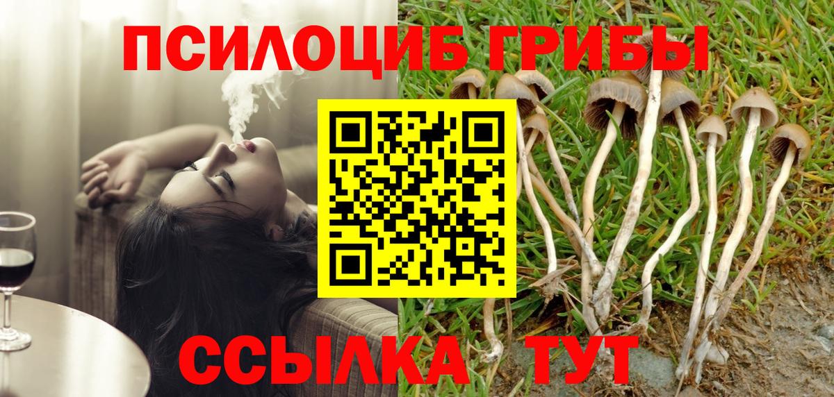 Галлюциногенные грибы прущие грибы  Псилоцибиновые грибы прущие грибы  Вход с VPN  Вязники 